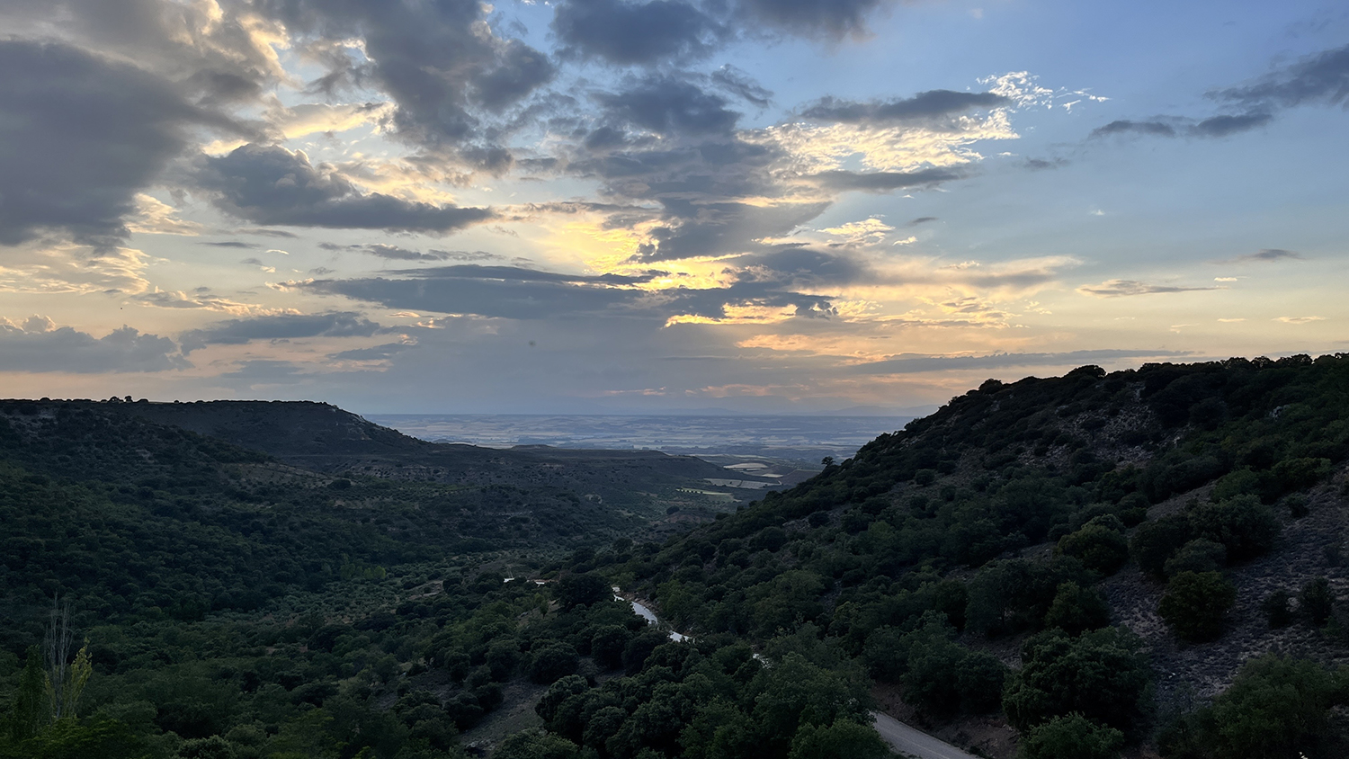a landscape with trees and hills