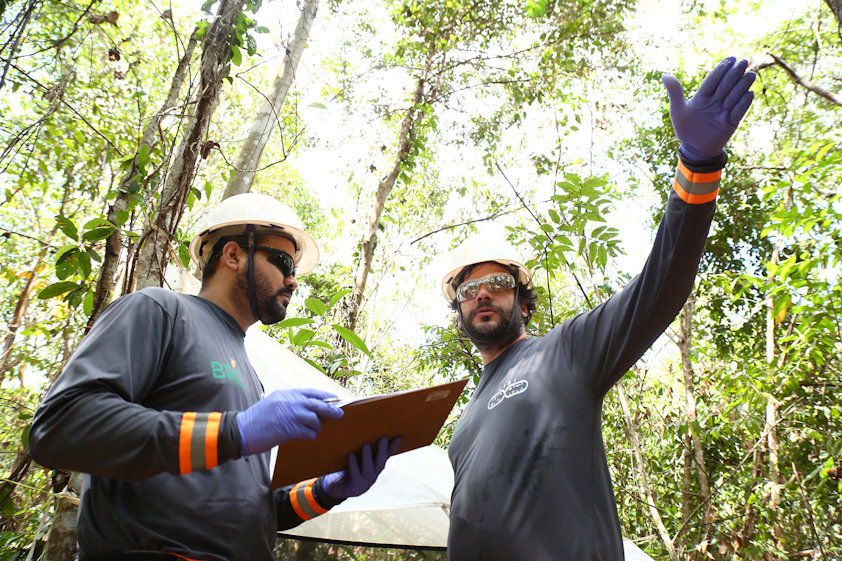 men in hard hats looking at a forest