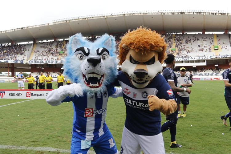 a couple of people in mascot clothing on a sports field