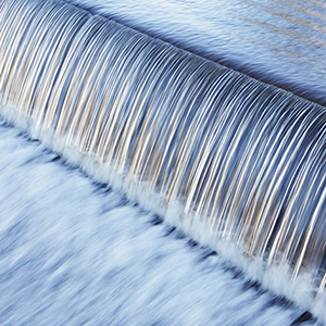 a close up of a feather
